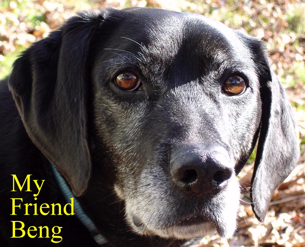 My Friend Beng