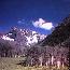 Goto Pictures