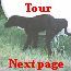 Tour guide
