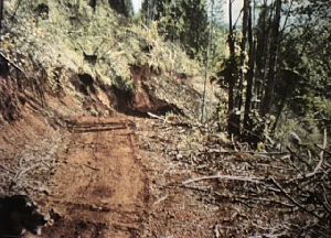 Beginning Picture 4