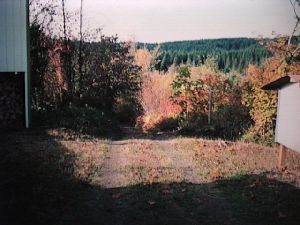Vista picture 1a