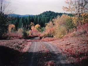 Vista picture 5a