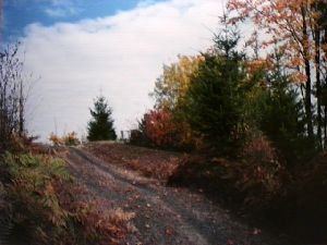 Vista picture 5b
