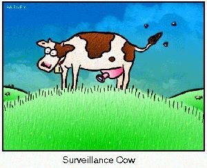  Cartoon by: David Farley