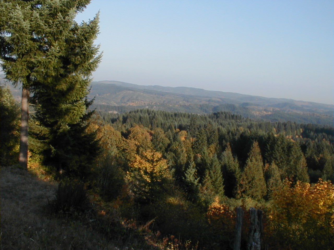 View from bedroom
