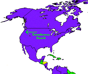 North America Map