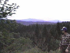 Vista picture 4b